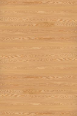 çam ağacı ahşap yapı doku arka plan yüzey duvar kağıdı yüksek boyutu