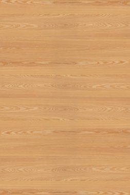 çam ağacı ahşap yapı doku arka plan yüzey duvar kağıdı yüksek boyutu