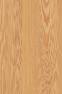 çam ağacı ahşap yapı doku arka plan yüzey duvar kağıdı yüksek boyutu