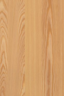 çam ağacı ahşap yapı doku arka plan yüzey duvar kağıdı yüksek boyutu