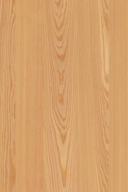 çam ağacı ahşap yapı doku arka plan yüzey duvar kağıdı yüksek boyutu