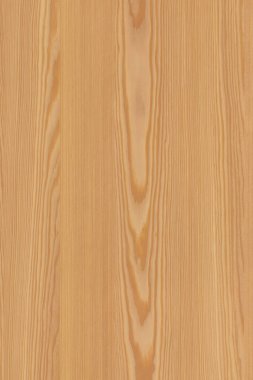 çam ağacı ahşap yapı doku arka plan yüzey duvar kağıdı yüksek boyutu