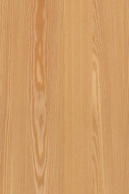 çam ağacı ahşap yapı doku arka plan yüzey duvar kağıdı yüksek boyutu