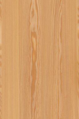 çam ağacı ahşap yapı doku arka plan yüzey duvar kağıdı yüksek boyutu