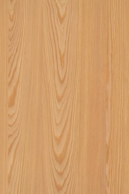 çam ağacı ahşap yapı doku arka plan yüzey duvar kağıdı yüksek boyutu