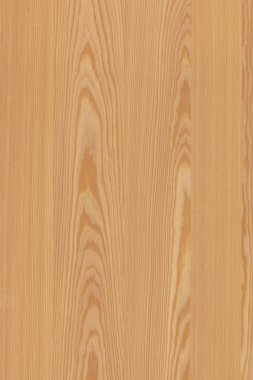 çam ağacı ahşap yapı doku arka plan yüzey duvar kağıdı yüksek boyutu