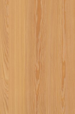 çam ağacı ahşap yapı doku arka plan yüzey duvar kağıdı yüksek boyutu