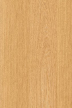 çam ağacı ahşap yapı doku arka plan yüzey duvar kağıdı yüksek boyutu