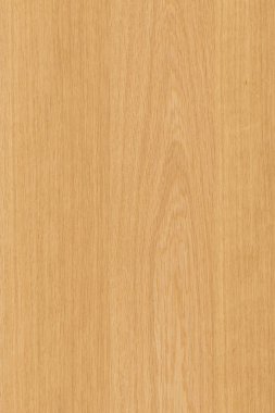 çam ağacı ahşap yapı doku arka plan yüzey duvar kağıdı yüksek boyutu