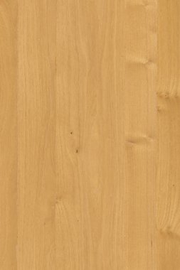 çam ağacı ahşap yapı doku arka plan yüzey duvar kağıdı yüksek boyutu