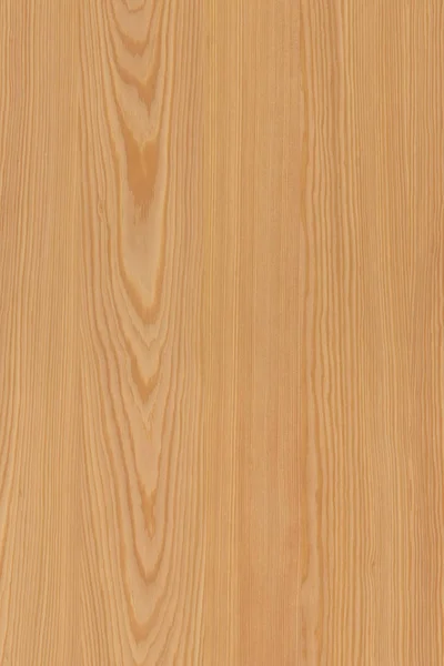 Borovice Stromu Struktury Dřeva Textury Pozadí Povrch Tapety Vysoká Velikost — Stock fotografie