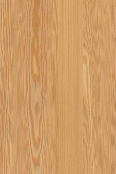 Pin Arbre Structure Bois Texture Fond Surface Papier Peint Haute — Photo