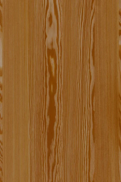 Pinho Árvore Estrutura Madeira Textura Fundo Superfície Papel Parede Alto — Fotografia de Stock