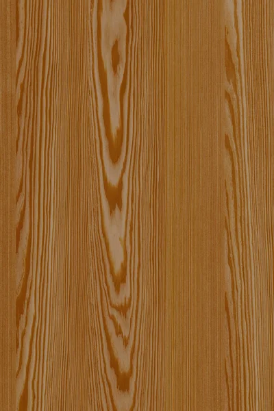松树木结构纹理背景表面壁纸高尺寸 — 图库照片