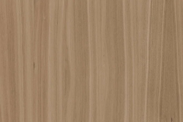 ブラウン ウォール ナット木材ツリー木構造テクスチャ背景の背景 — ストック写真