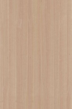 ahşap zemin yapı doku arka plan duvar kağıdı yüksek boyutu