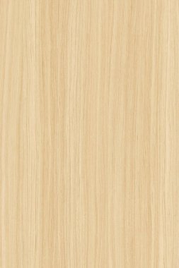 ahşap zemin yapı doku arka plan duvar kağıdı yüksek boyutu