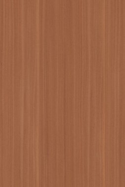 ahşap zemin yapı doku arka plan duvar kağıdı yüksek boyutu