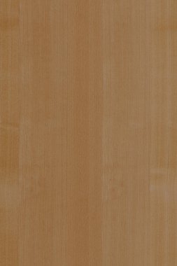 ahşap zemin yapı doku arka plan duvar kağıdı yüksek boyutu