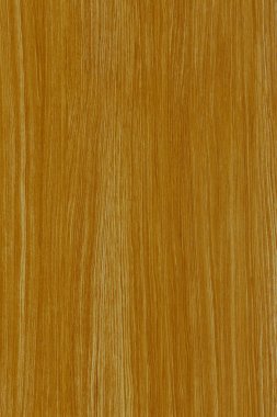 ahşap zemin yapı doku arka plan duvar kağıdı yüksek boyutu