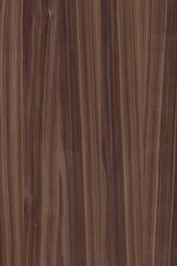 ahşap zemin yapı doku arka plan duvar kağıdı yüksek boyutu