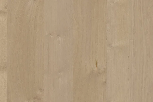 ライト ブラウン ツリー木製表面テクスチャ背景パターン — ストック写真