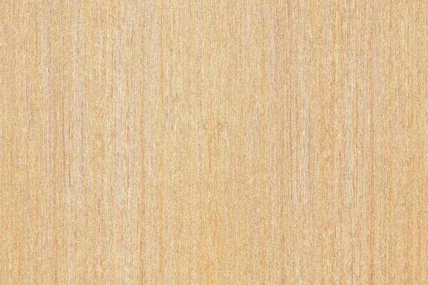 Light Brown Tree Wooden Surface Texture Background Pattern — Stock Photo, Image