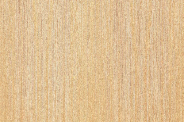 Light Brown Tree Wooden Surface Texture Background Pattern — Stock Photo, Image