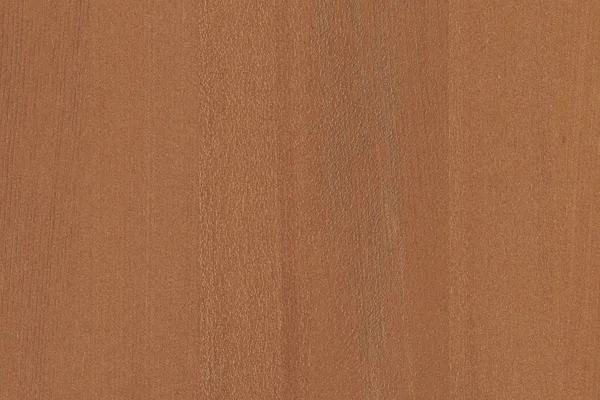 Světle Hnědé Strom Dřevěné Povrchové Textury Pozadí Vzorek — Stock fotografie