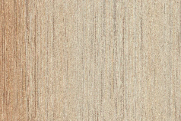 Árbol Marrón Claro Superficie Madera Textura Fondo Patrón —  Fotos de Stock