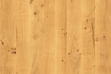 yabani meşe ağacı ahşap kereste ahşap duvar kağıdı yapısı doku arka plan zemin