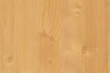 yabani meşe ağacı ahşap kereste ahşap duvar kağıdı yapısı doku arka plan zemin