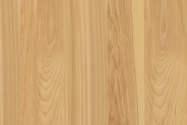 野生橡树木材木材木壁纸结构纹理背景背景 — 图库照片