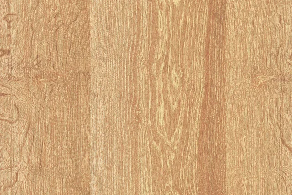 Árbol Marrón Claro Superficie Madera Textura Fondo Patrón —  Fotos de Stock