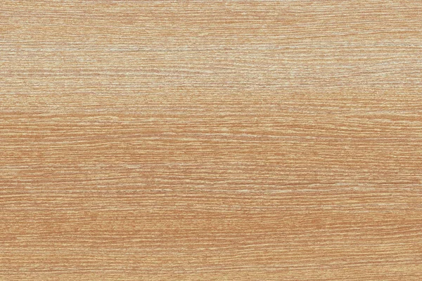 Árbol Marrón Claro Superficie Madera Textura Fondo Patrón —  Fotos de Stock