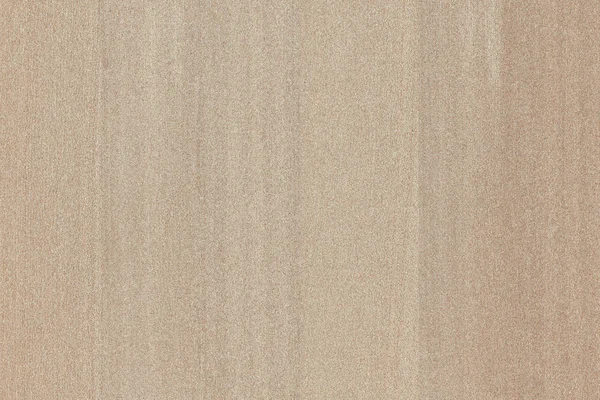 Árbol Marrón Claro Superficie Madera Textura Fondo Patrón —  Fotos de Stock