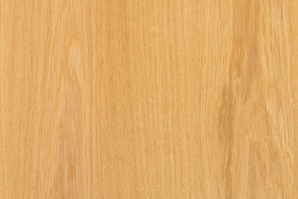 Árbol Marrón Claro Superficie Madera Textura Fondo Patrón — Foto de Stock