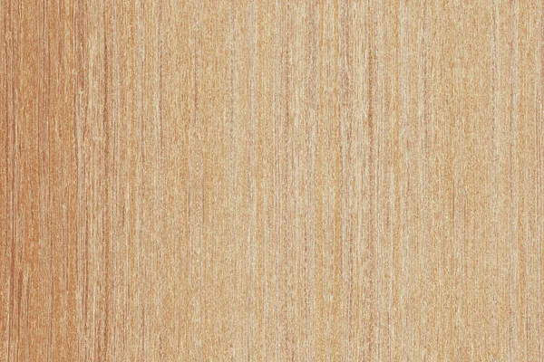 Árbol Marrón Claro Superficie Madera Textura Fondo Patrón —  Fotos de Stock