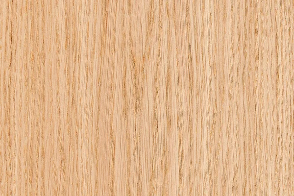 Árbol Marrón Claro Superficie Madera Textura Fondo Patrón — Foto de Stock