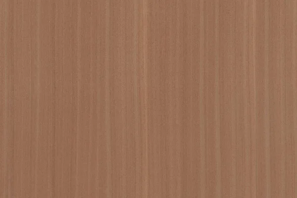 Light Brown Tree Wooden Surface Texture Background Pattern — Stock Photo, Image