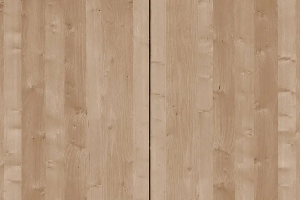 Árbol Marrón Claro Superficie Madera Textura Fondo Patrón — Foto de Stock