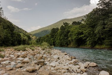 Nehir dağ kökenli temiz su yaz.