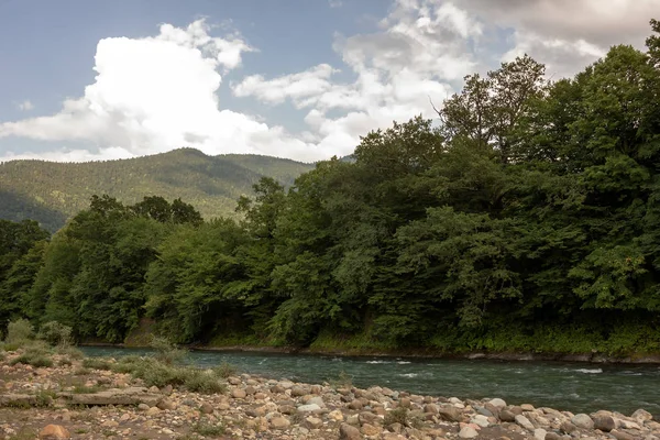 Rio Montanha Origem Água Limpa Verão — Fotografia de Stock