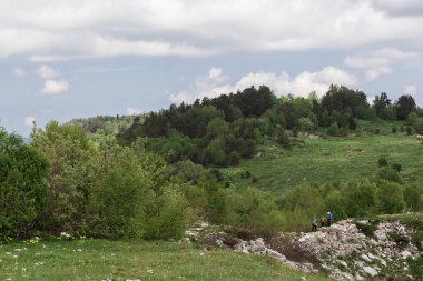 Turist ziyaret yollar dağda, yaz.