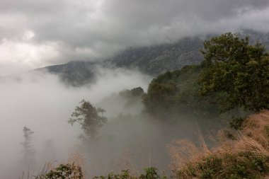 Sabah sis bıyıklı.