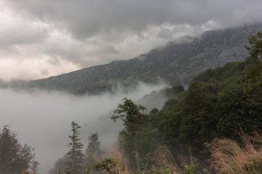 Sabah sis bıyıklı.