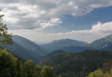 Bıyıklı orman dağ güneşli bir gün.