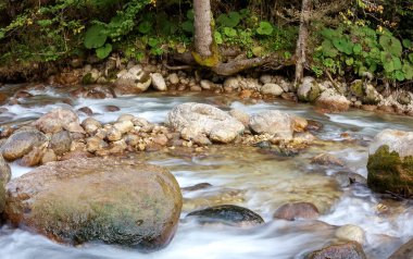 Nehir dağ kökenli ekoloji temiz su.