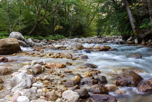 Річкове Гірське Походження Екологія Чиста Вода — стокове фото