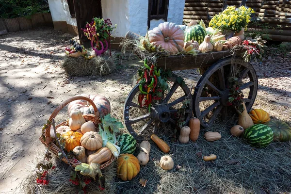 農場の農民と秋の収穫 — ストック写真